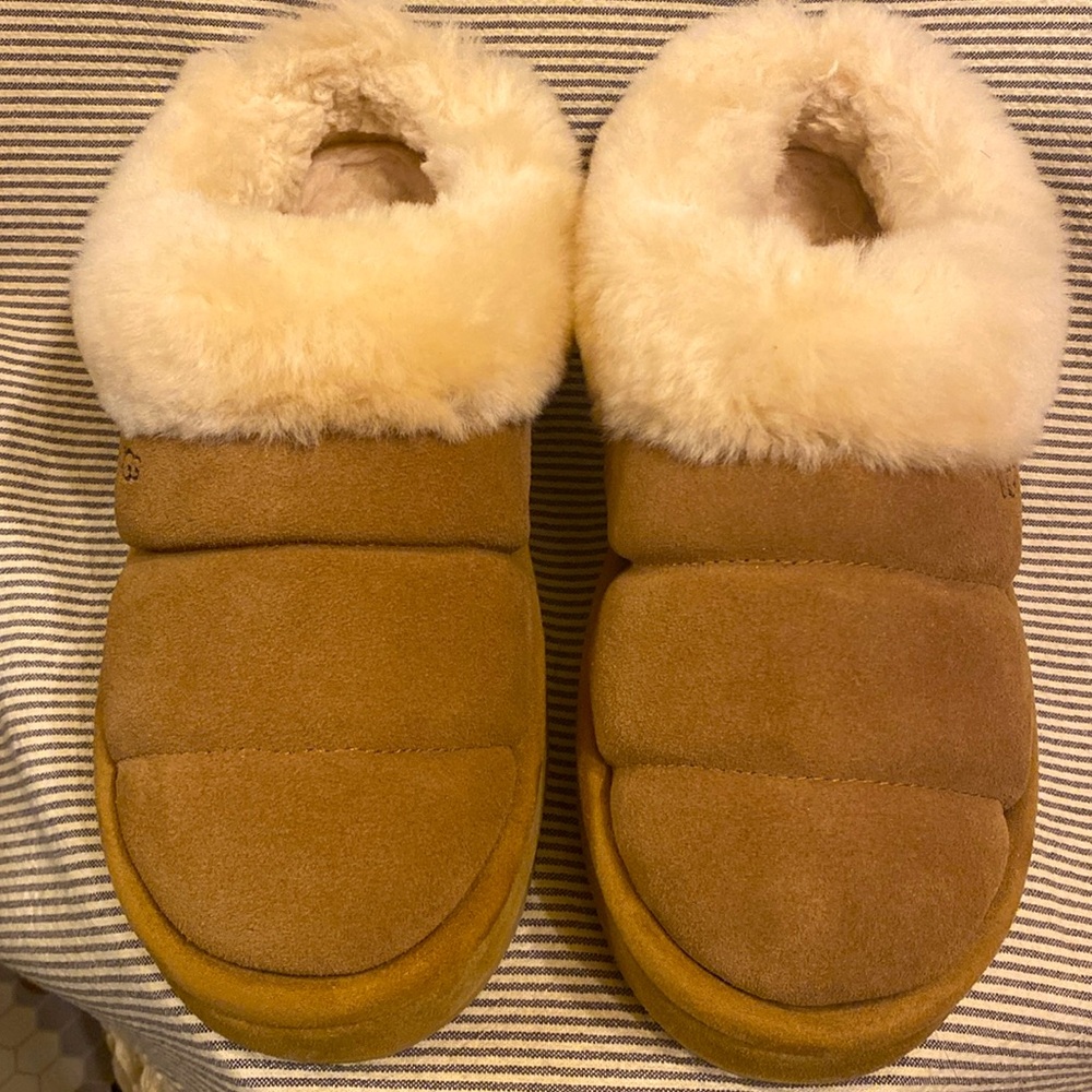 Women Ugg Tazzlita